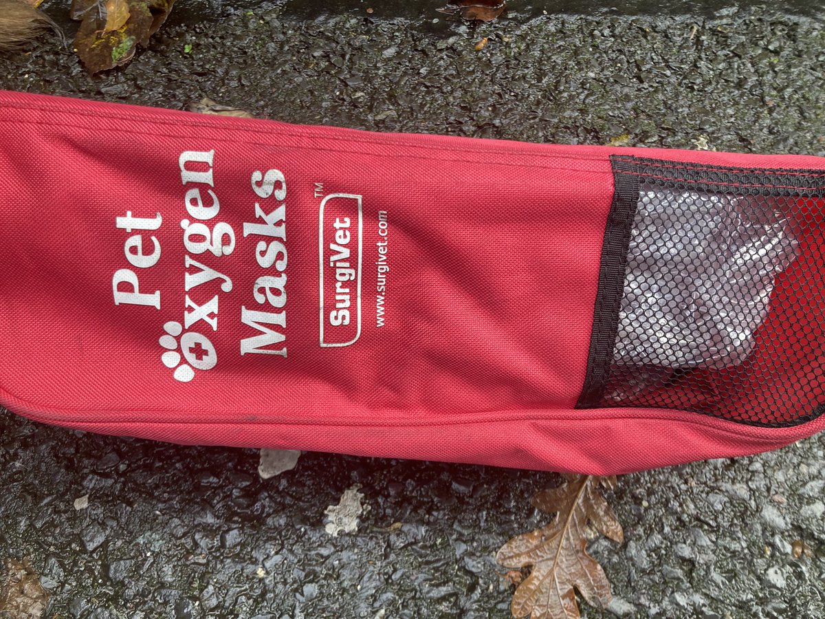 CorkCityFire's tweet photo. Earlier today crews responded to a house fire in Dillons Cross 🚒

Crews extinguished the fire and searched the smoke-filled property and rescued an unresponsive dog 🐶 

‘Max’ was given oxygen and was then brought to a local vet for treatment 🏥 

Thankfully he’s now on the mend https://t.co/6v7T2dhcps