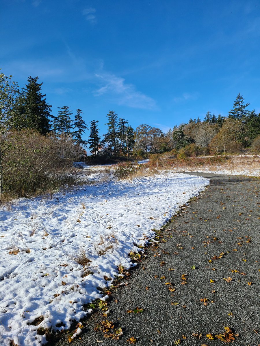 tanjacobs's tweet photo. Our #lovewhereyoulive Vancouver Island got snow last night! https://t.co/iHiBxfu4KT