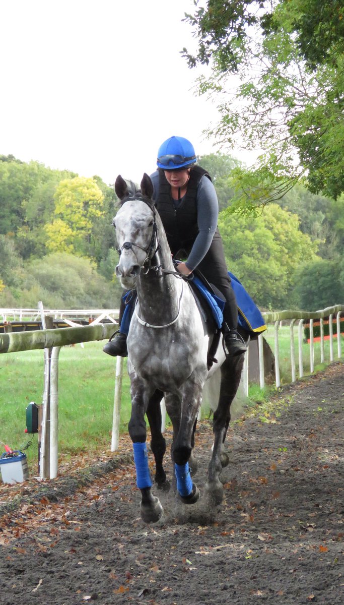 Vicky Napier tweet media