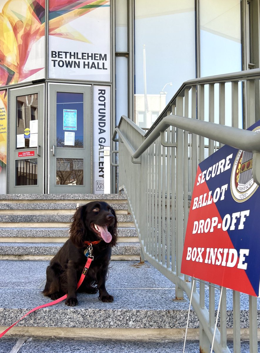 Beau says, ‘in-person voting was a snap!’ ⁦<a href="/WLVRNews/">WLVR News</a>⁩ ⁦<a href="/LVNewsdotcom/">LehighValleyNews.com</a>⁩