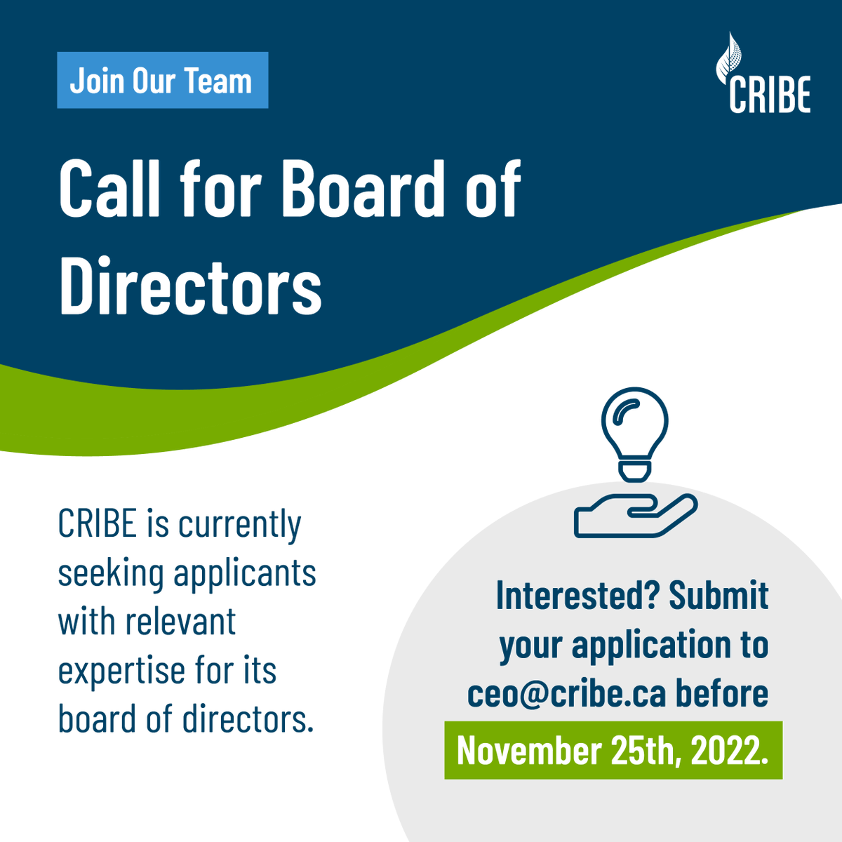 Do you have expertise in Ontario's innovation space, bio-economy and/or forestry? CRIBE is currently looking to fill vacancies on its Board of Directors!
 
Interested in applying? Learn more and apply here -> lnkd.in/eUfbNnuk