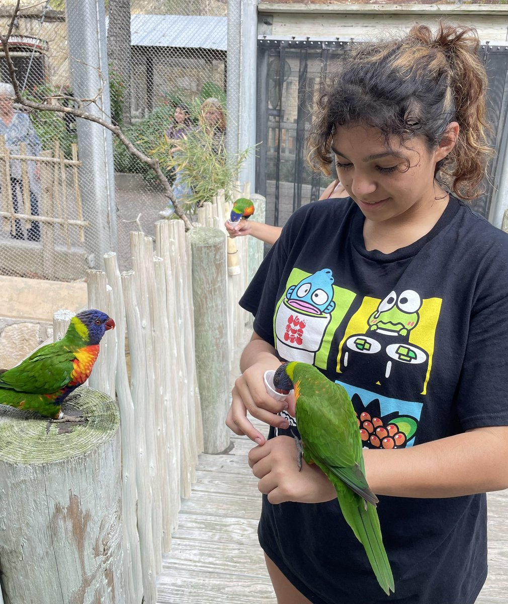 NellAnd01630252's tweet photo. We took 42 art students to the SA Zoo to sketch and take photos of exotic animals. Most art competitions require students to take their own original photos for their art entries. Such fun! #comalfinearts #keeprising @canyonlakehs @comalfinearts @CLHSPrincipal #thelakeisrising https://t.co/QYhmFkSzJR