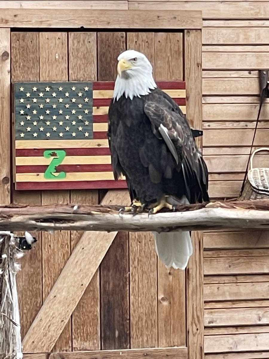 NellAnd01630252's tweet photo. We took 42 art students to the SA Zoo to sketch and take photos of exotic animals. Most art competitions require students to take their own original photos for their art entries. Such fun! #comalfinearts #keeprising @canyonlakehs @comalfinearts @CLHSPrincipal #thelakeisrising https://t.co/QYhmFkSzJR