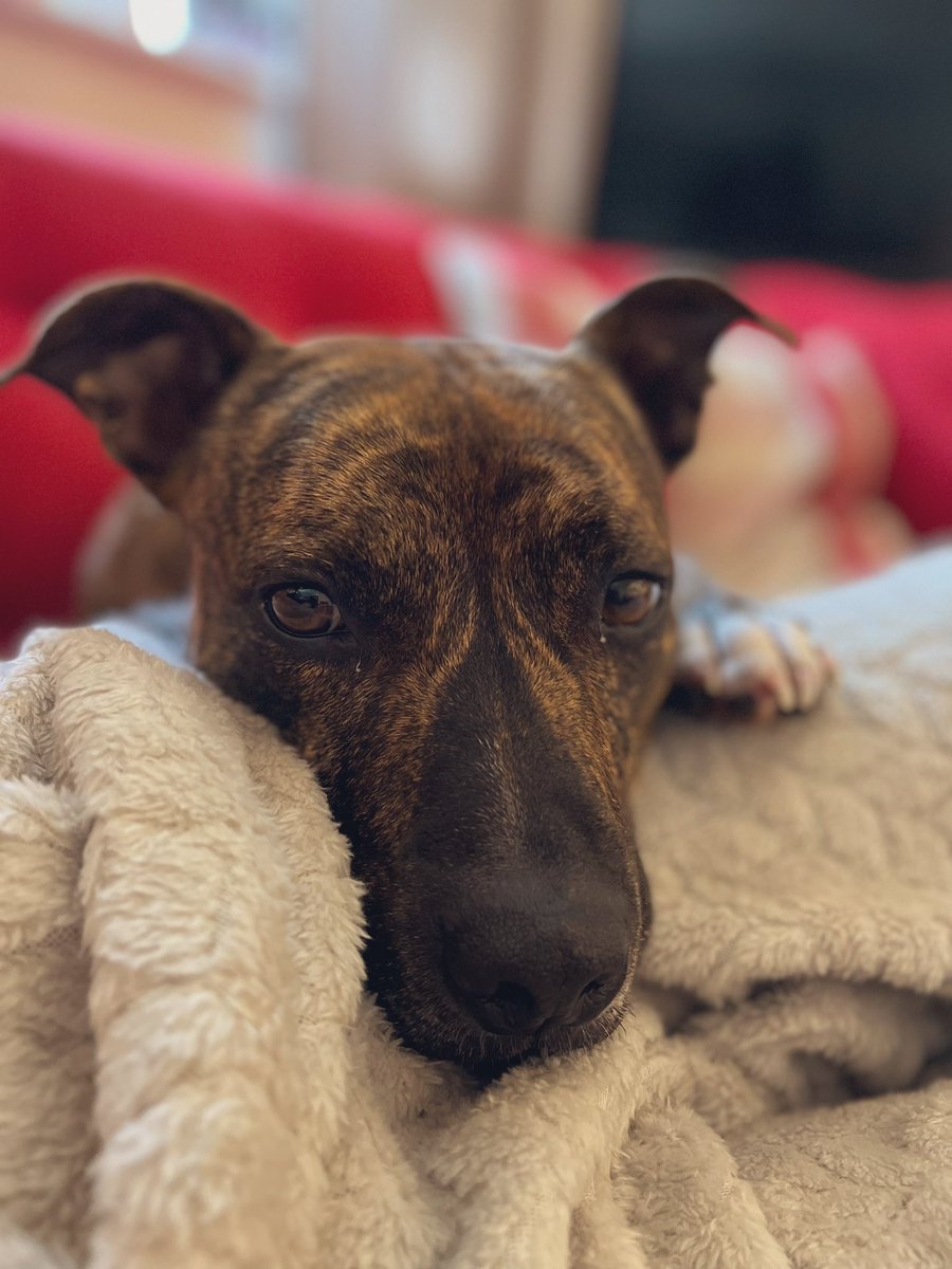 Hey mum… you’re napping again!