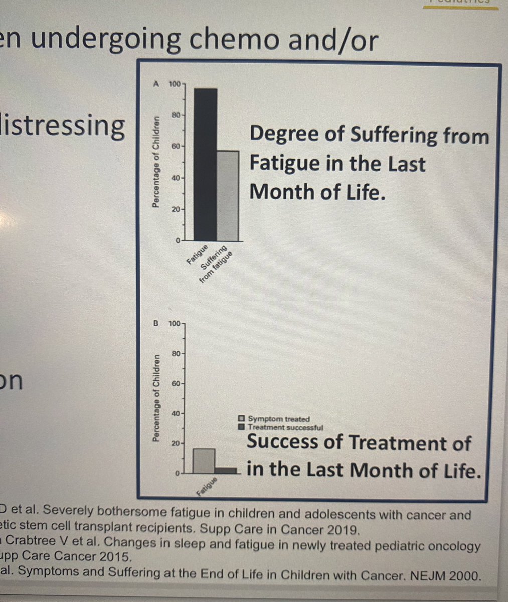 Madalena von Hafe tweet media