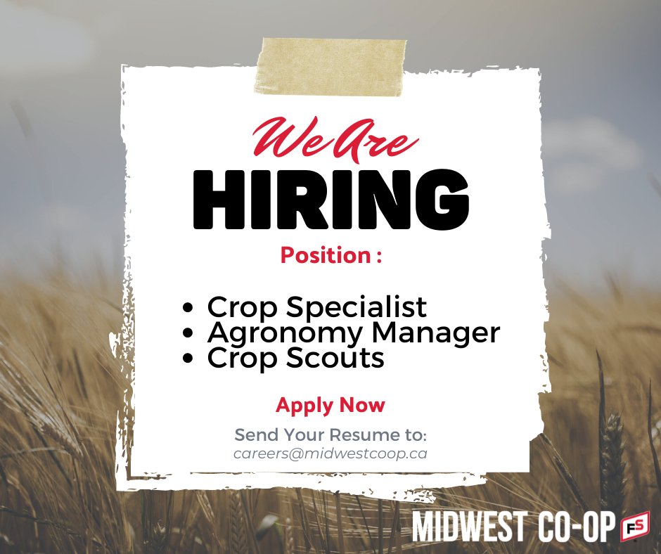 Midwest Co-op is hiring! Our Agronomy Centers have multiple opportunities available from scouting to sales and management! 

Check out the full postings with the link below: 👇

midwestcoop.ca/Careers