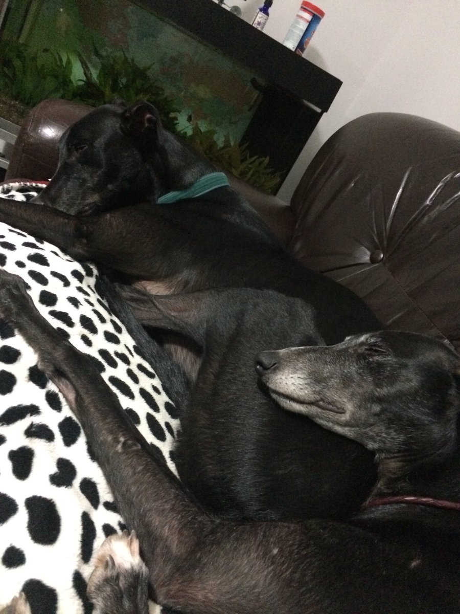 end of an era. find human @brazenjules tweet media