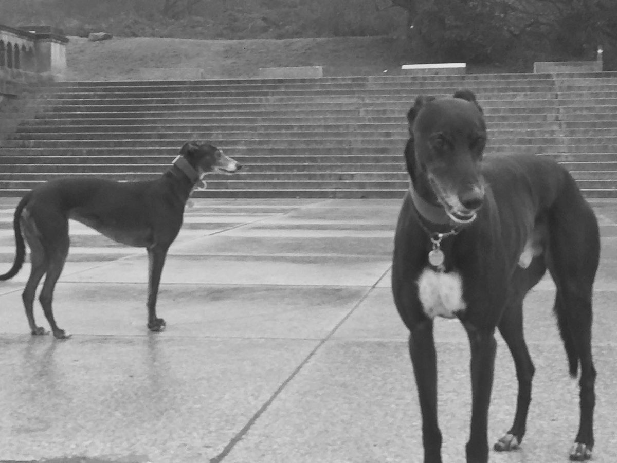 end of an era. find human @brazenjules tweet media