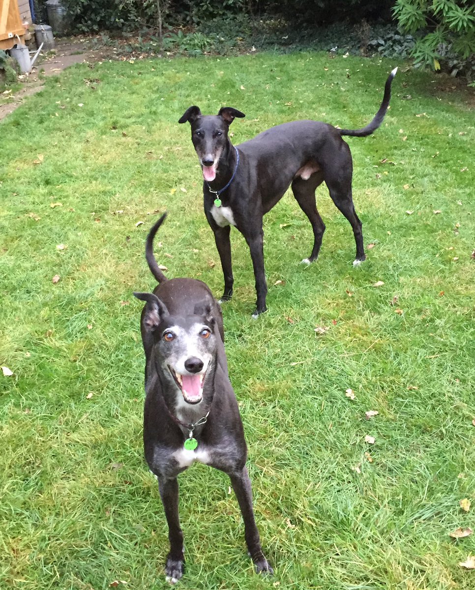 end of an era. find human @brazenjules tweet media