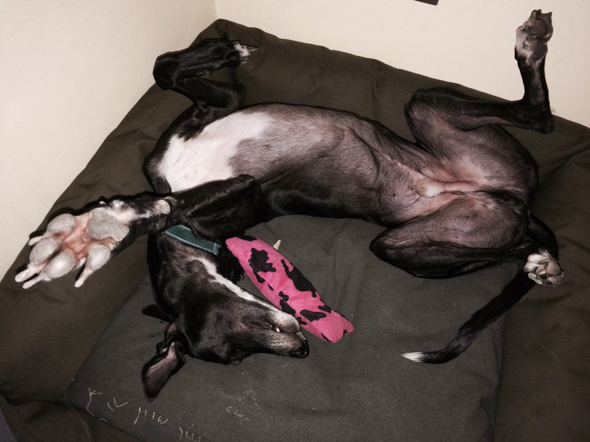 end of an era. find human @brazenjules tweet media