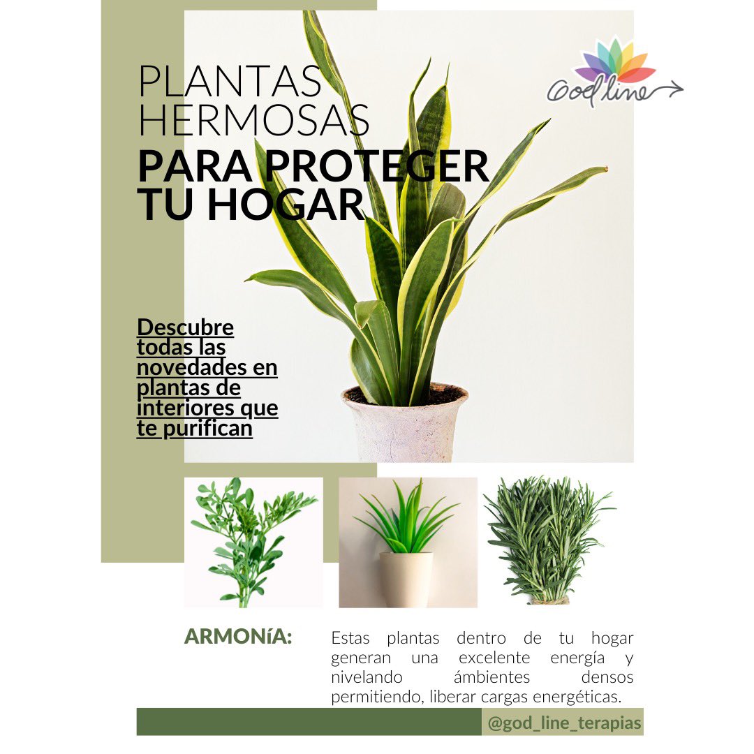 Michael67137236's tweet photo. #plantasmagicas #terapia https://t.co/m8MTgl21bt