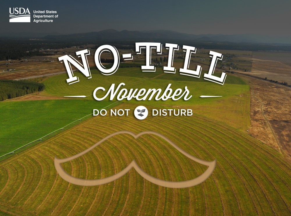 NebraskaNRCS's tweet photo. First step to improving soil health is #DoNotDisturb.  #KeepTheStubble and start reviving your soil. #NoTillNovember https://t.co/uw4IaeFLoM
