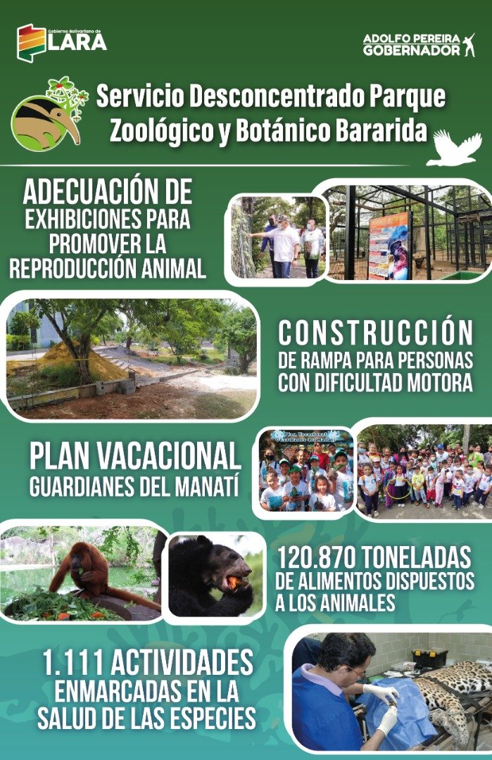 gobiernodelara tweet media