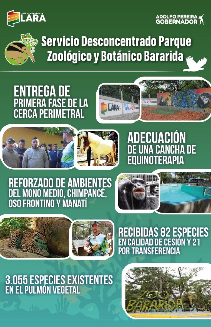 #8Nov Nuestro zoológico brinda atención integral todos los días del año a las especies animales que conforman la familia del <a href="/ParqueBararida/">Parque Zoológico y Botánico Bararida</a> 

#CambiemosElSistema