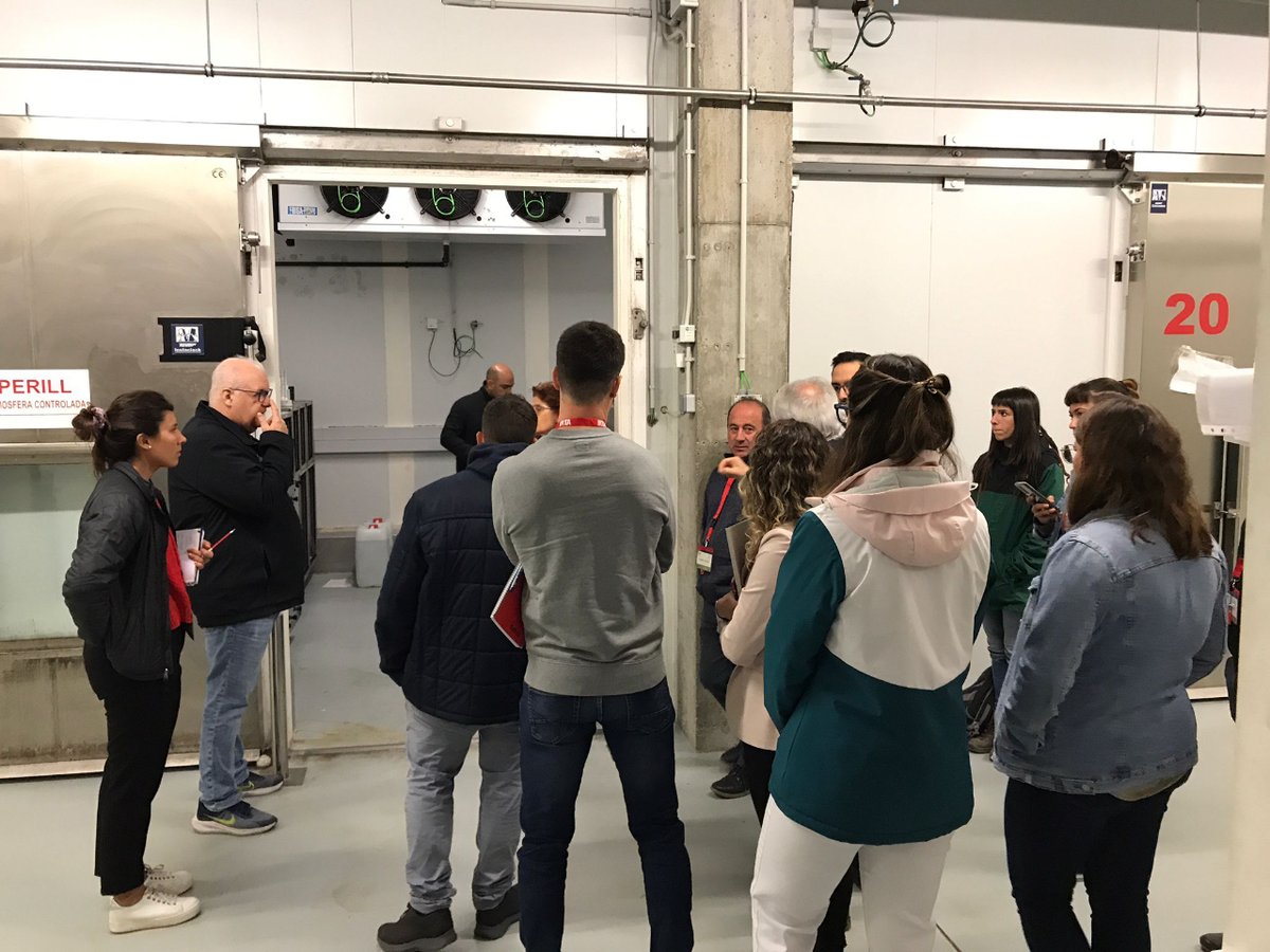 ILERFRED tweet media