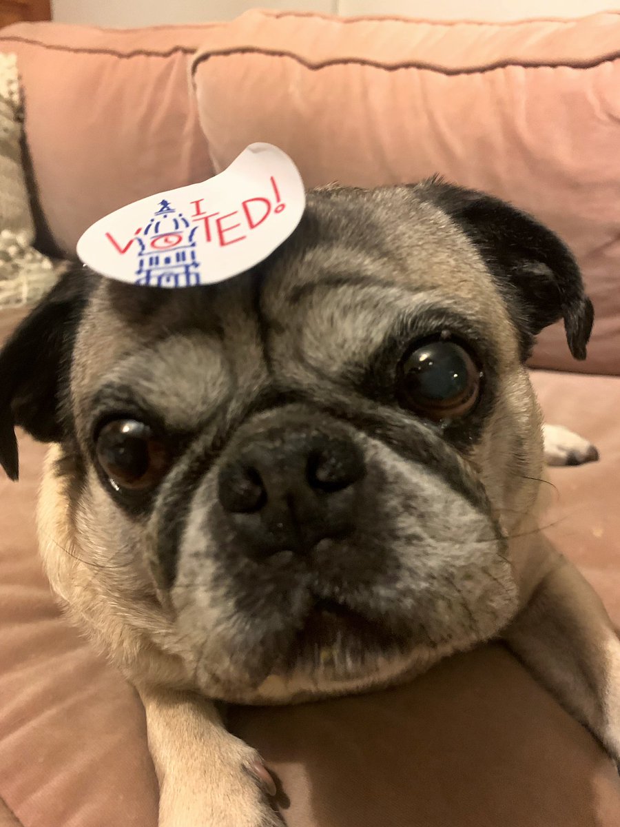 Pls don’t vote for puppy killers that would be weird. Vote for <a href="/LeviFetterman/">Levi</a>’s dad <a href="/JohnFetterman/">John Fetterman</a> ❤️