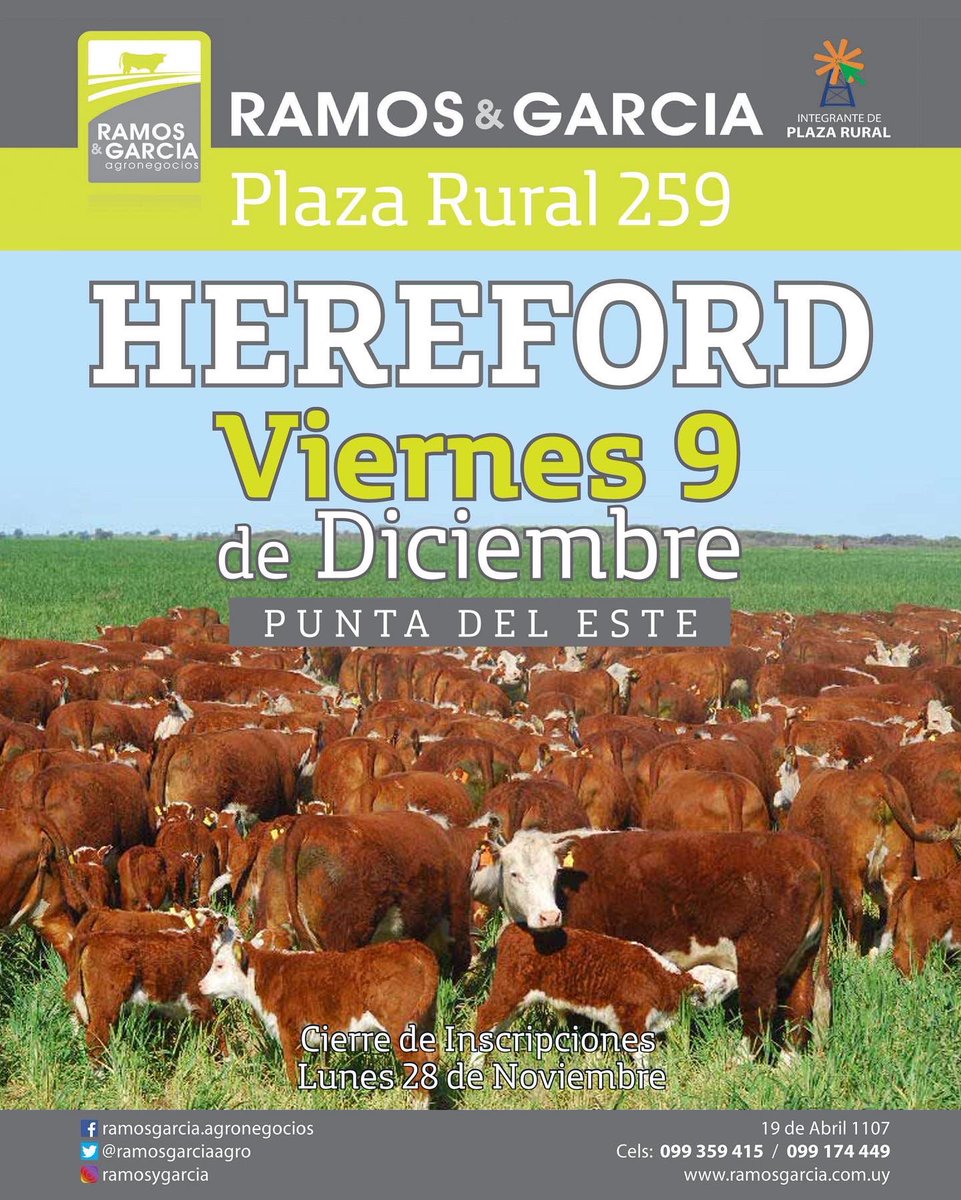 ✅YA ESTAMOS RECIBIENDO INSCRIPCIONES PARA LOS PRÓXIMOS REMATES DE <a href="/plazarural/">plazarural</a> ‼️
✅NO QUEDE AFUERA Y VENDA SU GANADO DE REPOSICIÓN EN EL MEJOR SISTEMA VIRTUAL DEL PAÍS‼️ 
 🎥🐮🐂🐑