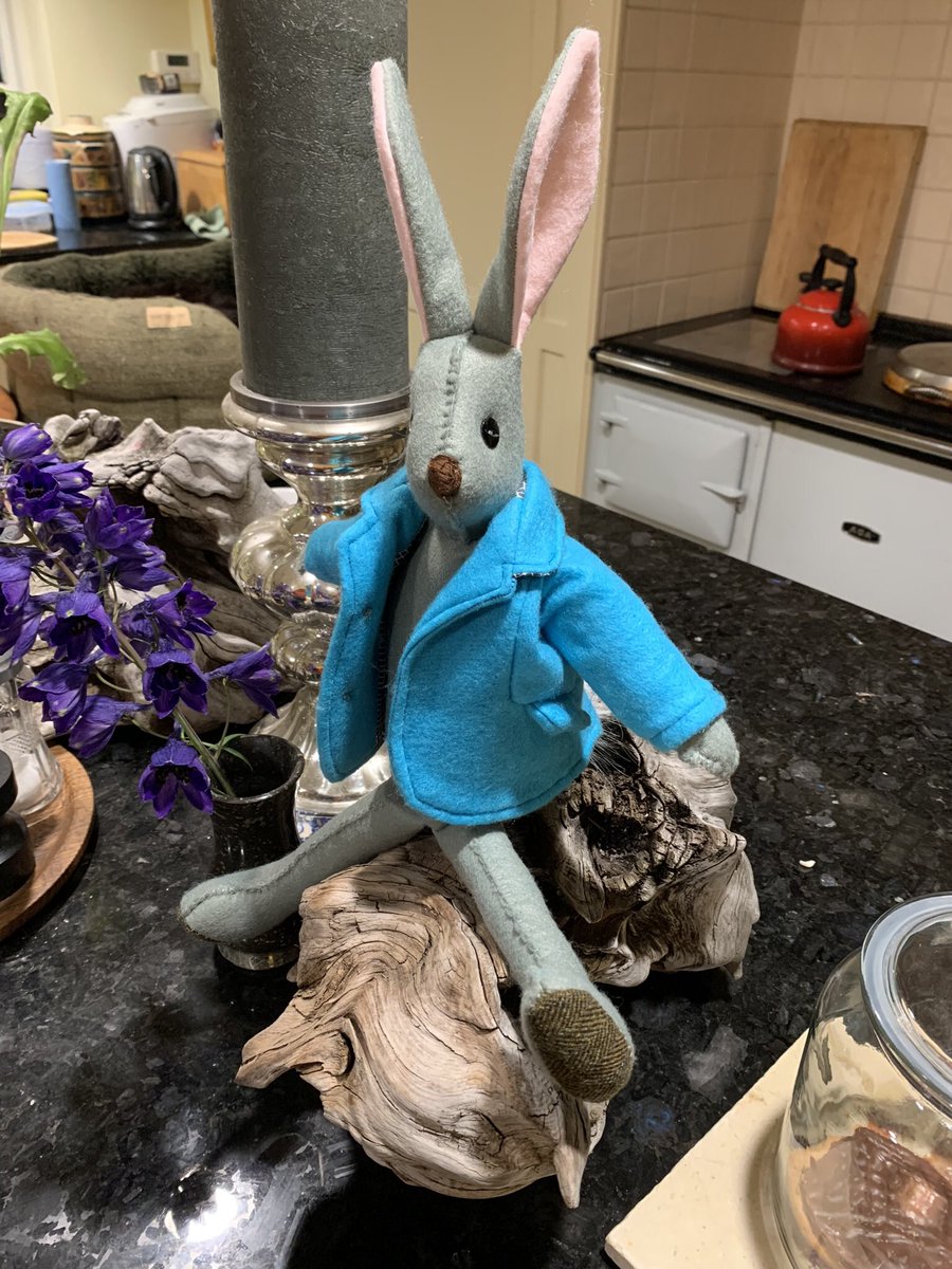paulinedaniels's tweet photo. Peter Rabbit is suited and booted, ready for his new home..!
A baby born a few weeks ago… #granimals #feltanimals #peterrabbit https://t.co/snOMtxS1rX