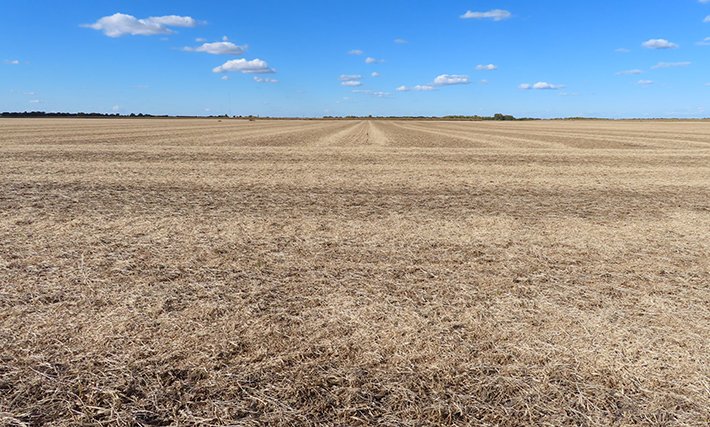 landprollcus's tweet photo. LAND AUCTION
IN-PERSON &amp; LIVE ONLINE
Fall River Farm
200.461± survey acres
So. Ottawa &amp; Fall River Townships
LaSalle County IL
November 29, 2022 | 2:00 pm
https://t.co/OjbCXrJgdW https://t.co/SnerFPEr1J