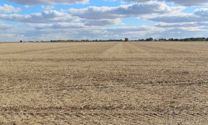 landprollcus's tweet photo. LAND AUCTION
IN-PERSON &amp; LIVE ONLINE
Fall River Farm
200.461± survey acres
So. Ottawa &amp; Fall River Townships
LaSalle County IL
November 29, 2022 | 2:00 pm
https://t.co/OjbCXrJgdW https://t.co/SnerFPEr1J
