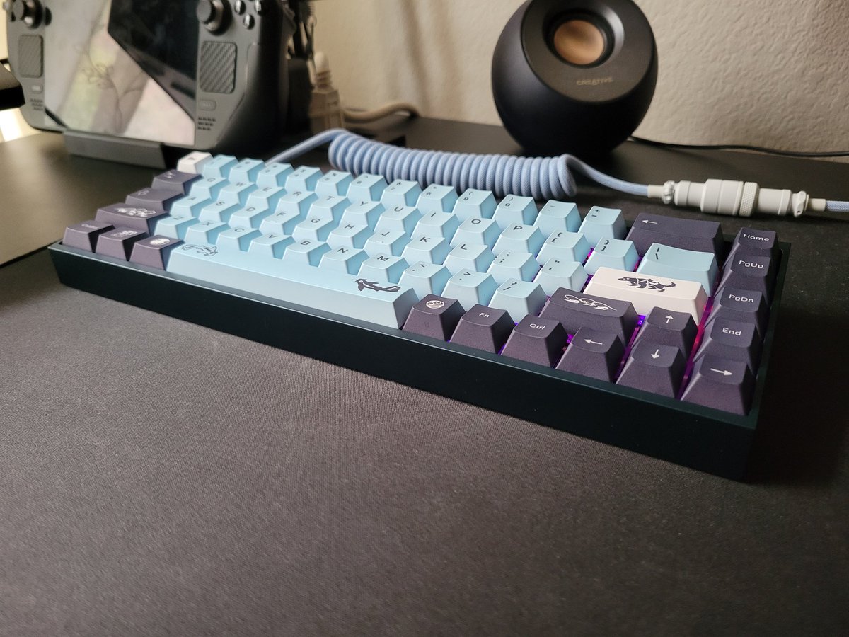 CoderCat196 tweet picture