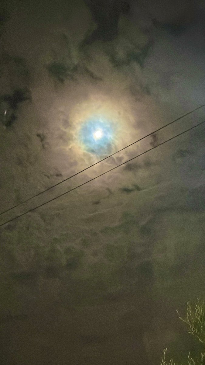 bebi_fernandez's tweet photo. Da igual cuánta oscuridad la envuelva. Ella sigue brillando. https://t.co/AFtavMYpYo