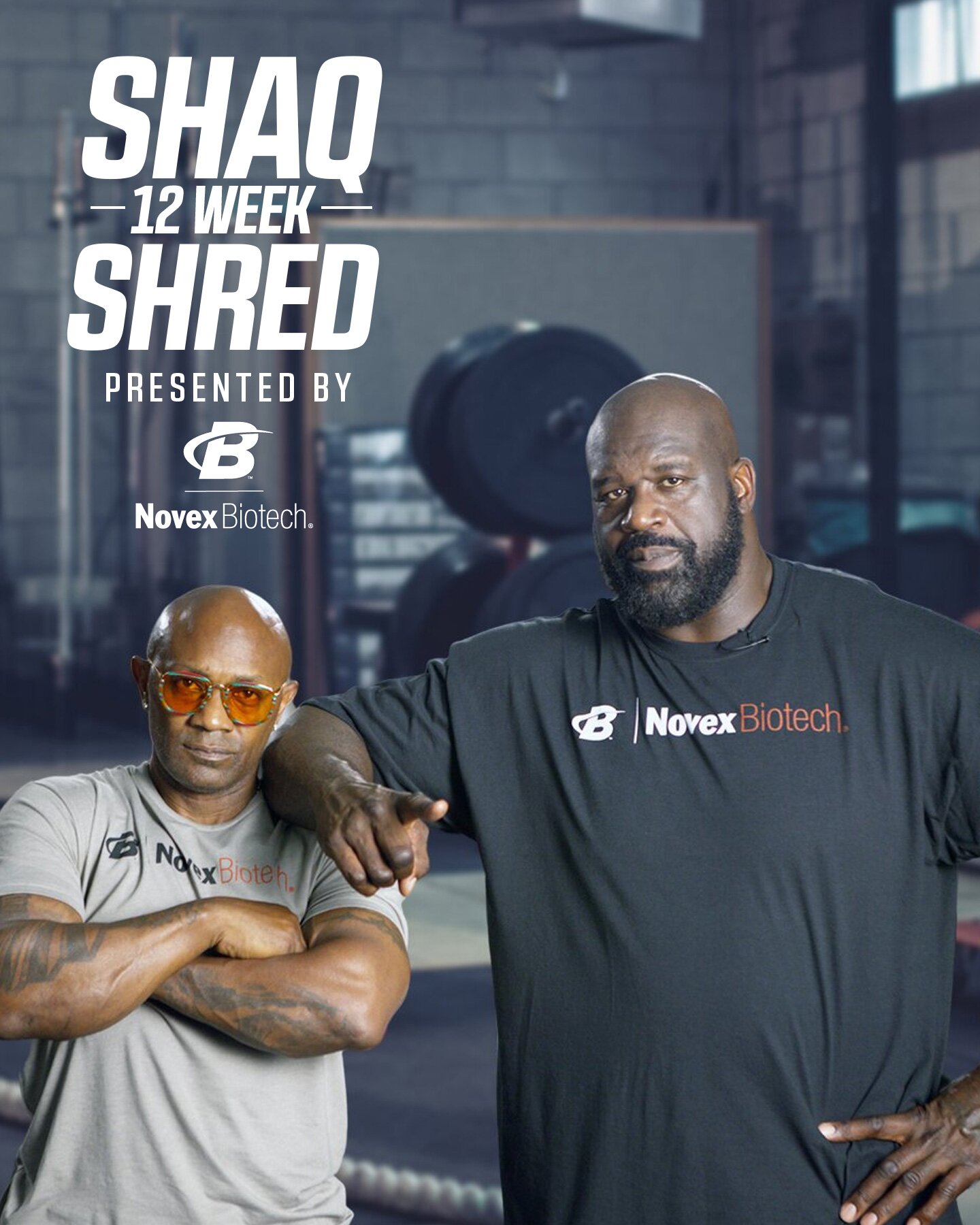 Shaq 12s best sale