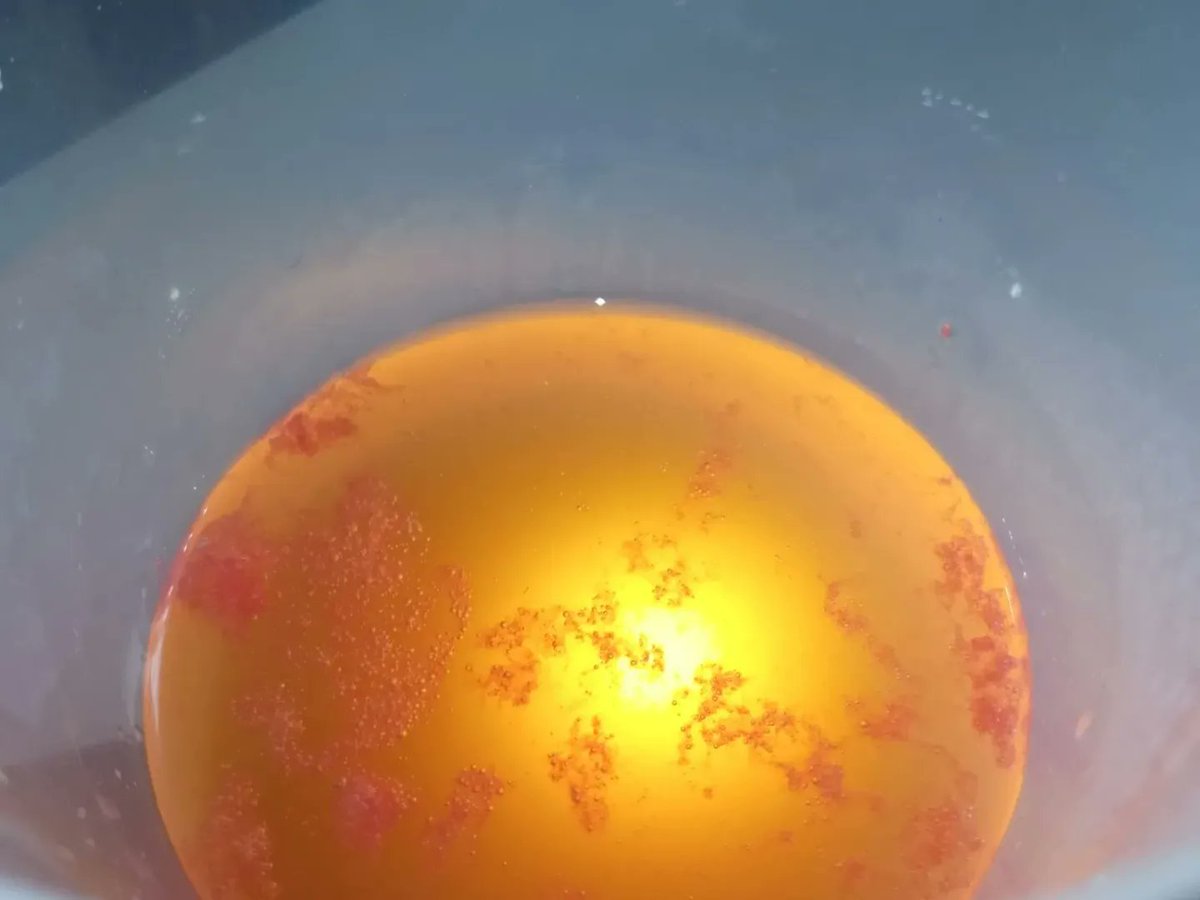 IES Marina Cebrián🇪🇺 tweet media