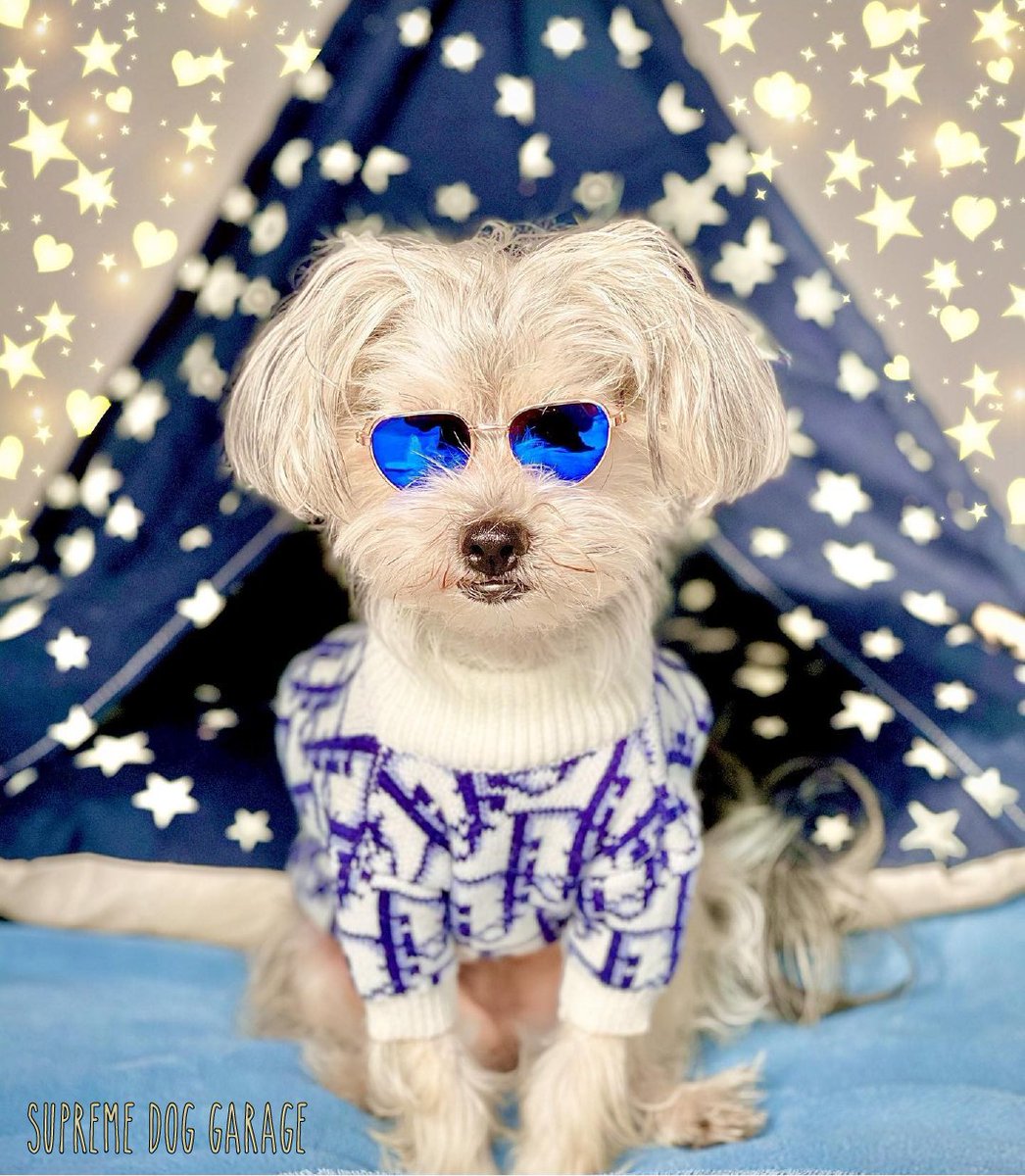 SDGShop's tweet photo. โKeep your eyes on the stars, and your feet on the ground.โ ~ Theodore Roosevelt
@simba.therichmorkie
Get your sweater here ๐ https://t.co/Sqz35NNuvW
Follow @SDGShop ๐
#dogsweater #dogsweaters #supremedoggarage #sweaters #sweater #dior #dogstyle #dogoutfit #morkie #morkies https://t.co/zkEcrtLDDr