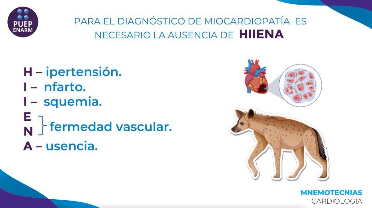 puep_enarm's tweet photo. ¿Quieres comenzar a recibir nuestro material para lograr los mejores resultados?
🌐Página web: https://t.co/4JNrkJMhZk
📲 WhatsApp: https://t.co/G1psgH1q9U
#ENARM2023 #PUEP #materialacadémico #mnemotecnia #PUEPENARM #ENARM #MedLife #MedStudent #Nacional #Medicina https://t.co/TwjDwOd1Kf