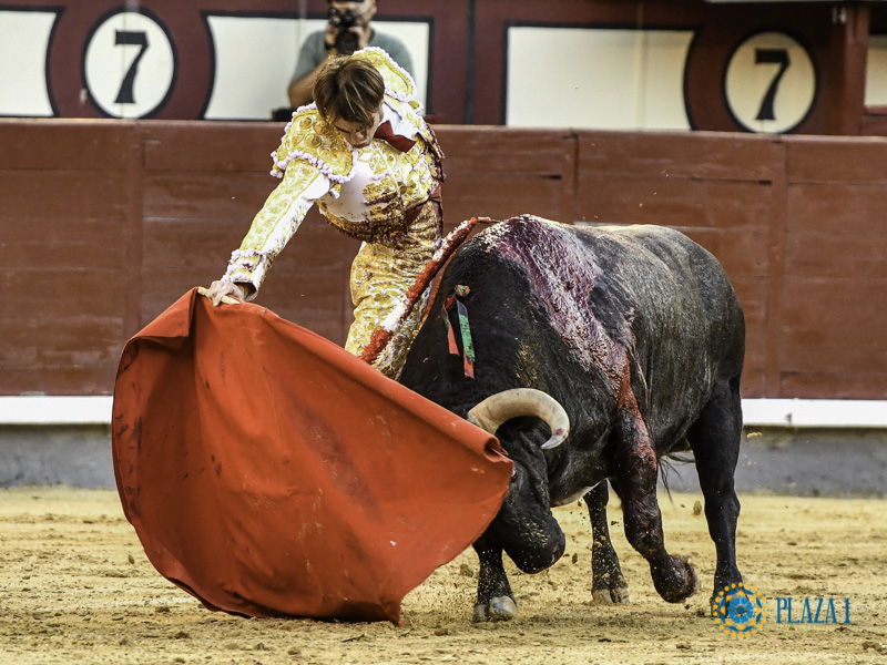 Adrián de Torres y «Resabiado» de Adolfo Martín, triunfadores de Cenicientos <a href="/DeTorresAdrian/">𝐀𝐃𝐑𝐈Á𝐍 𝐃𝐄 𝐓𝐎𝐑𝐑𝐄𝐒</a> <a href="/aadolfomartin/">Adolfo Martin</a>

tauromaquiasmundiales.es/adrian-de-torr…