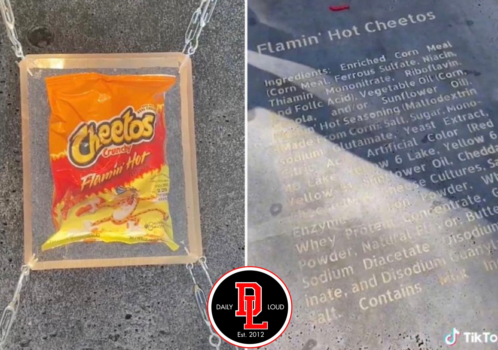 Are Flamin Hot Cheetos Bad For Dogs
