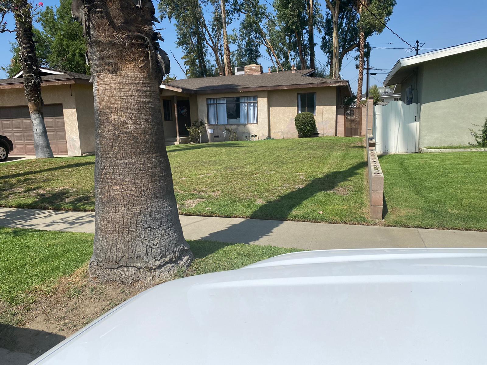 Tony´s Custom Painting (PaintingTony) / Twitter