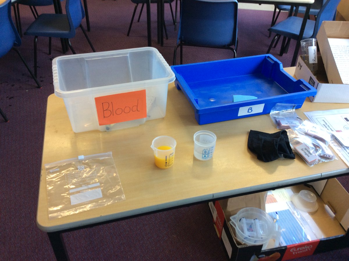 ErringtonPrimary tweet media