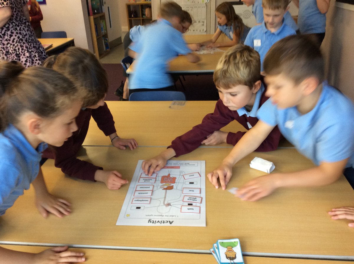 I know this was last week, but had to share the 'poo' making session photos from Year 4 - LEARNING STICKS!