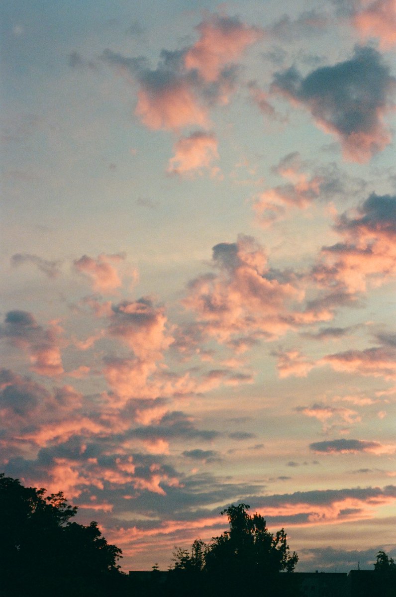 ImaginaryAroma's tweet photo. 0774
summer on #film https://t.co/fZToAHg4qr