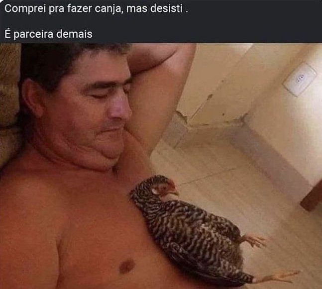 imacbdegen's tweet image. 