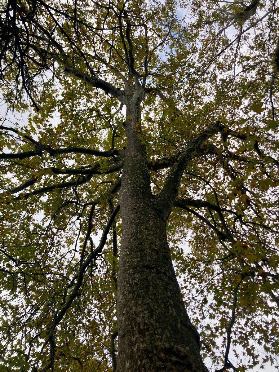 FNE Anjou tweet media