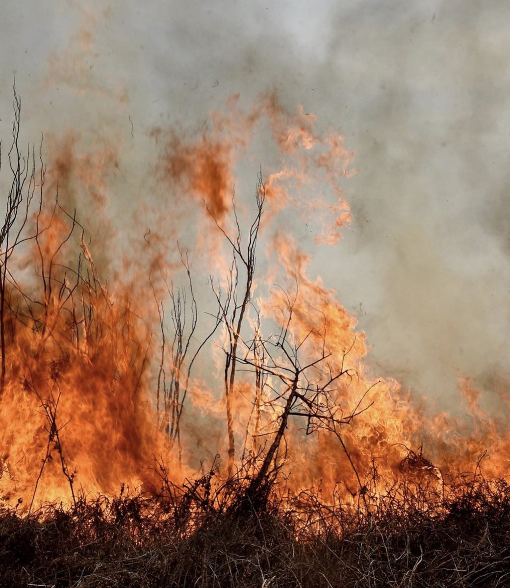 #leydehumedalesya Miércoles 9/11. 
Twitazzo 19 h  y jueves 10/11 movilización al congreso 22 h