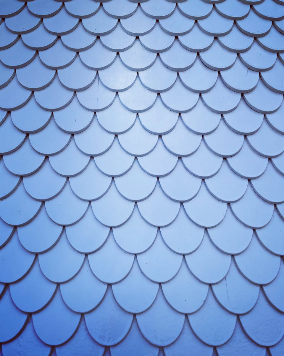 ActonManning's tweet image. Texture Series, 1

#texture #textures #textureshot 
#tactile #tactileart
#closeup #closeupshot #closeupphotography 
#scales #fishscale #fishscales 
#siding #walls #swiss #swissmade #swissdesign #switzerland 
#tiles #tilesdesign 
#kawara #瓦 #かわら