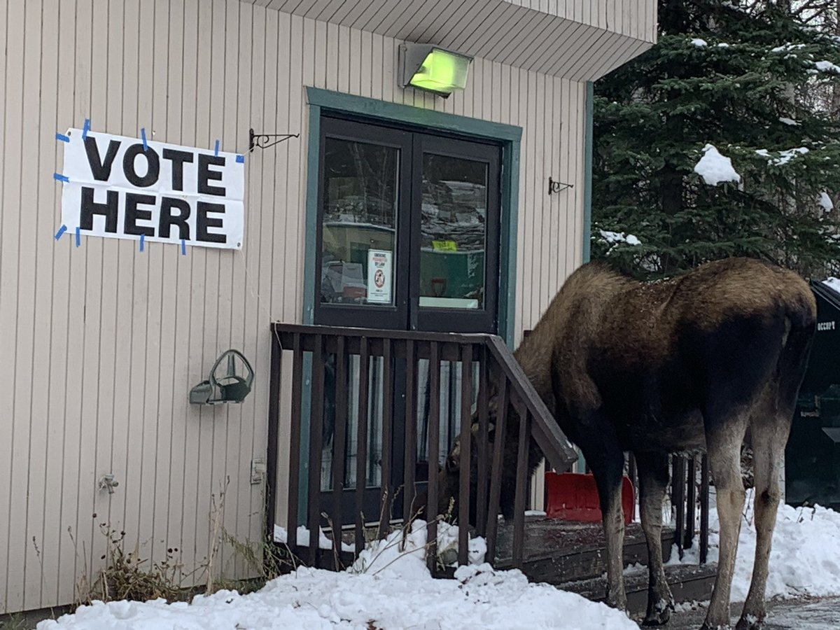 Best poll-watcher ever! #OnlyInAlaska