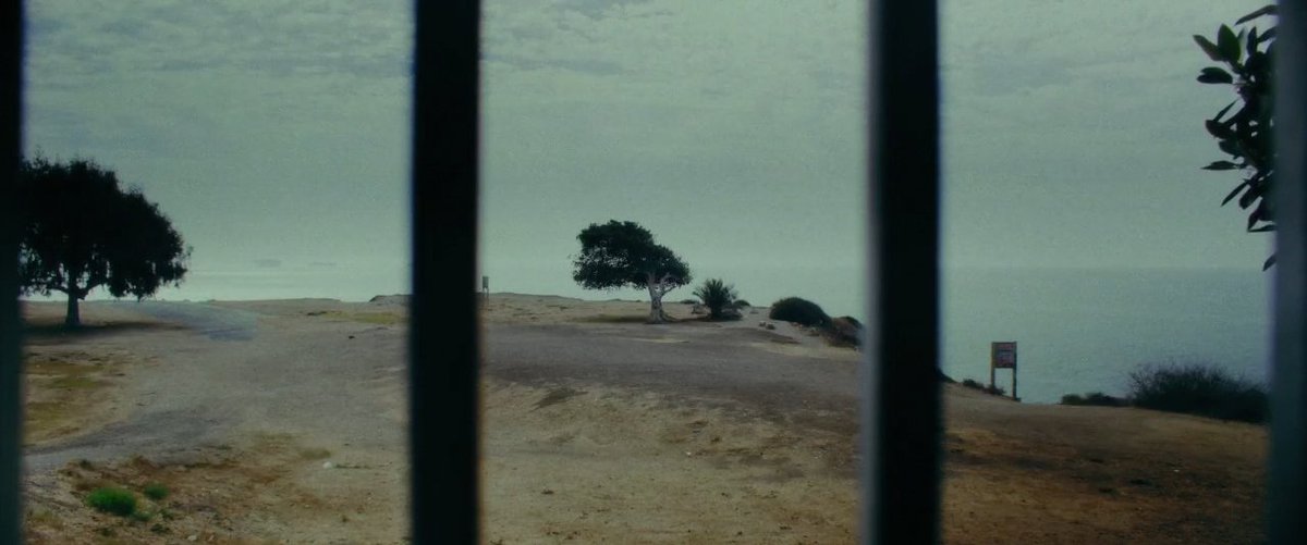 Moon Students Film tweet media