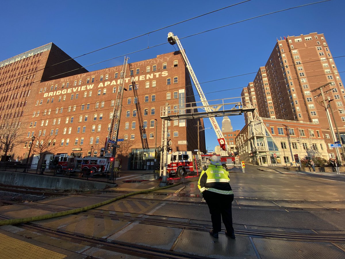 Molly Walsh tweet media