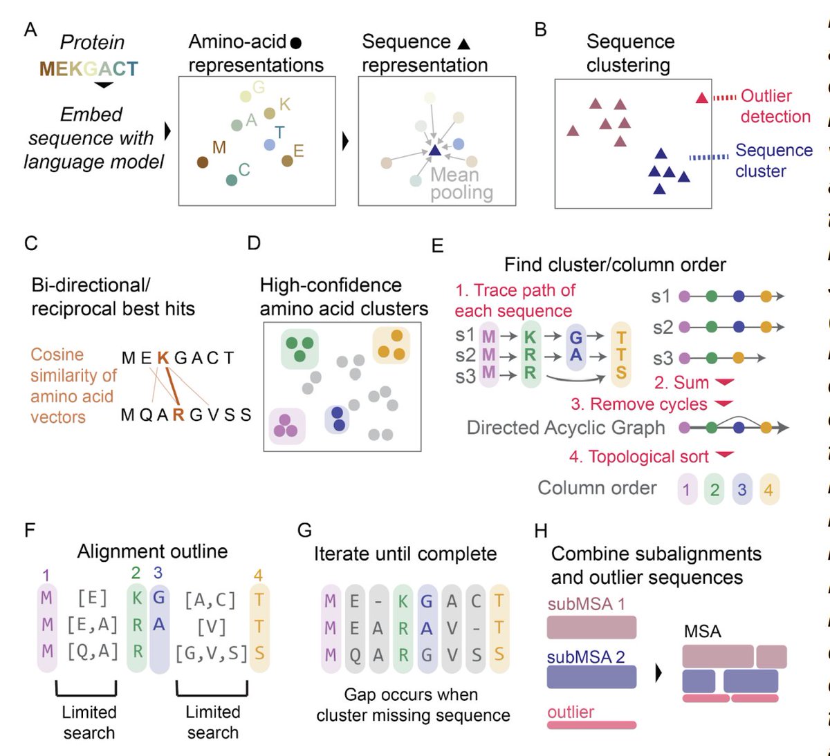 New preprint with @ProfMonaSingh. We present vcMSA, a totally new algorithm for multiple sequence alignment that's based on clustering protein language representations of amino acids. No gaps penalties, substitution matrices, or guide trees required. biorxiv.org/content/10.110…