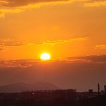 ツイートに含まれる画像