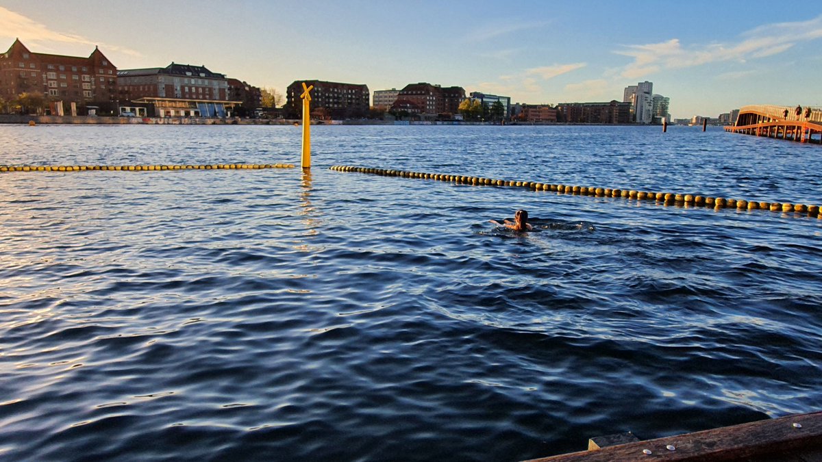 snofi8's tweet photo. I also wanna say that Copenhagen is beautiful and I felt so danish biking around the city, eating spandauer and taking morning swims in the ice cold water (SO many ppl were doing it!!) - "when in CPH, do as the Danes do" 🇩🇰🙃 https://t.co/AGmIL9DDbK