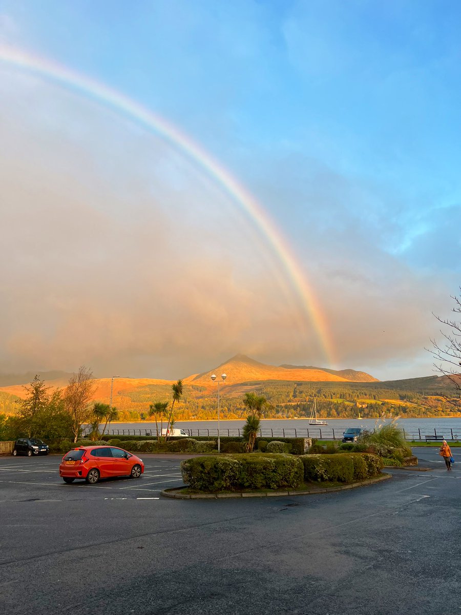 Niall Hackett tweet media