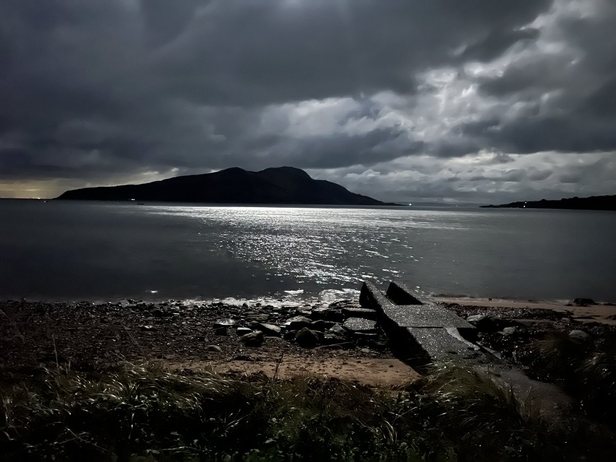 Niall Hackett tweet media