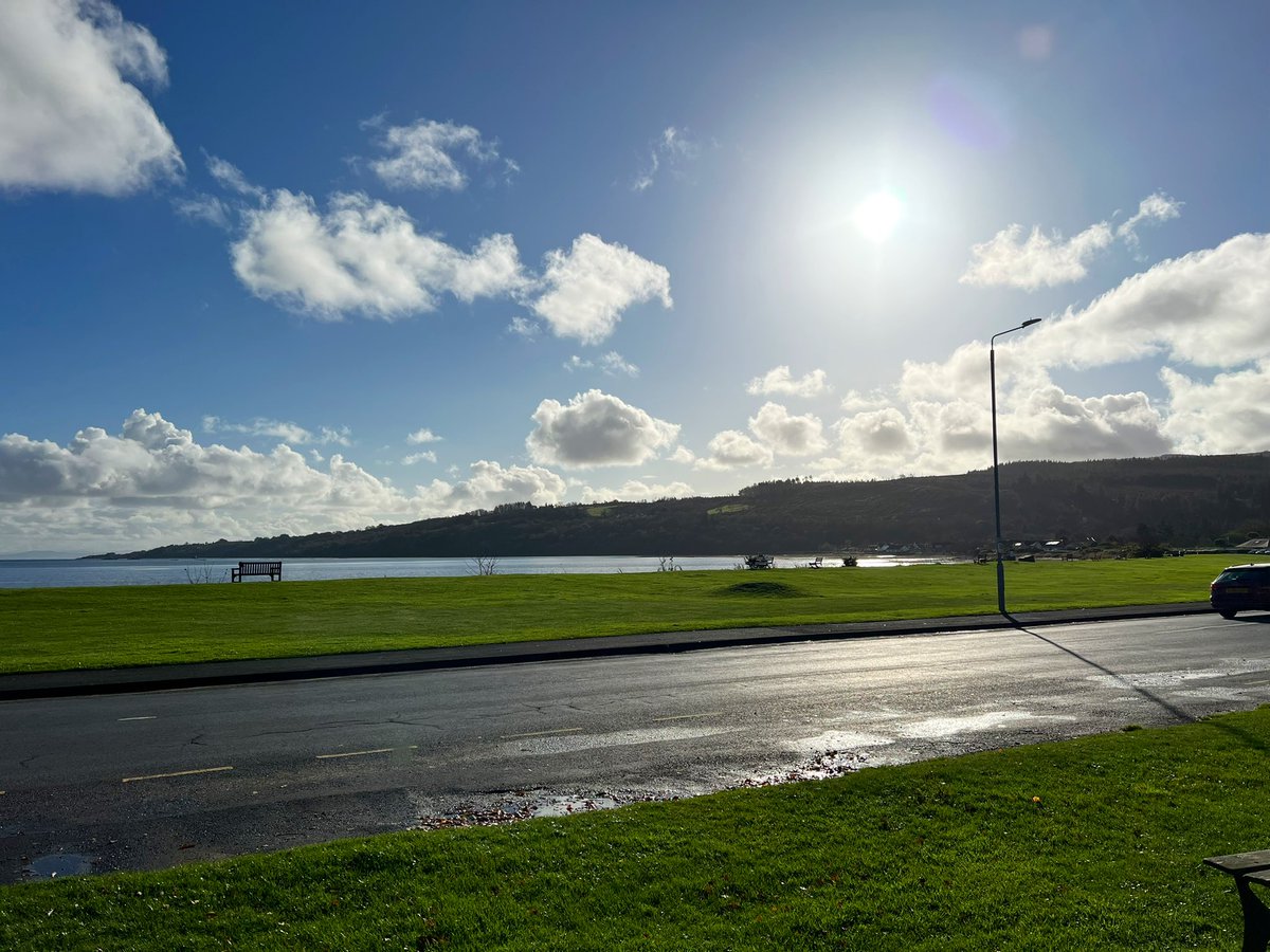 Niall Hackett tweet media