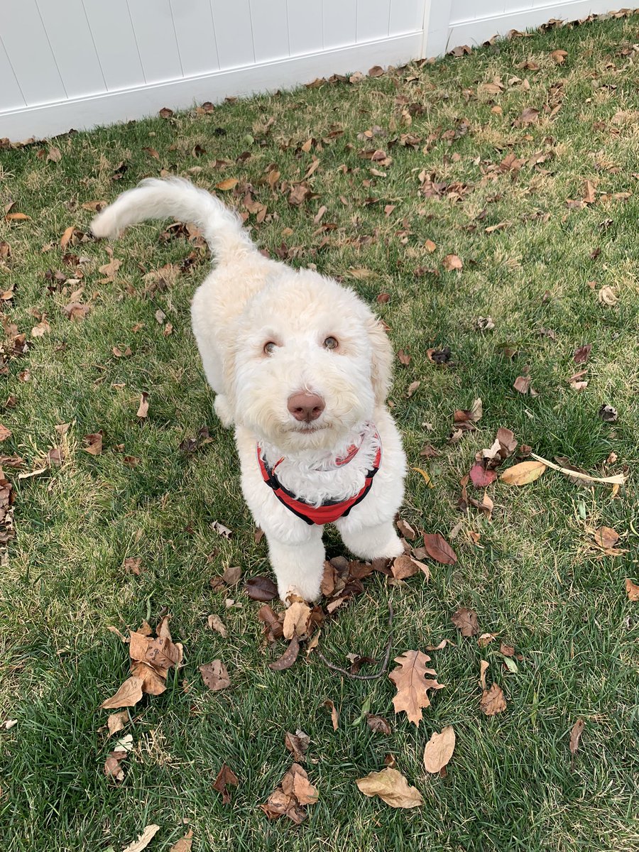 Yadi says “Vote Meggie!” Polls open till 7, still plenty of time to cast your ballot and let your voice be heard this election! <a href="/MeggieBiesenth1/">Meggie Biesenthal</a> #MeggieBforJudge